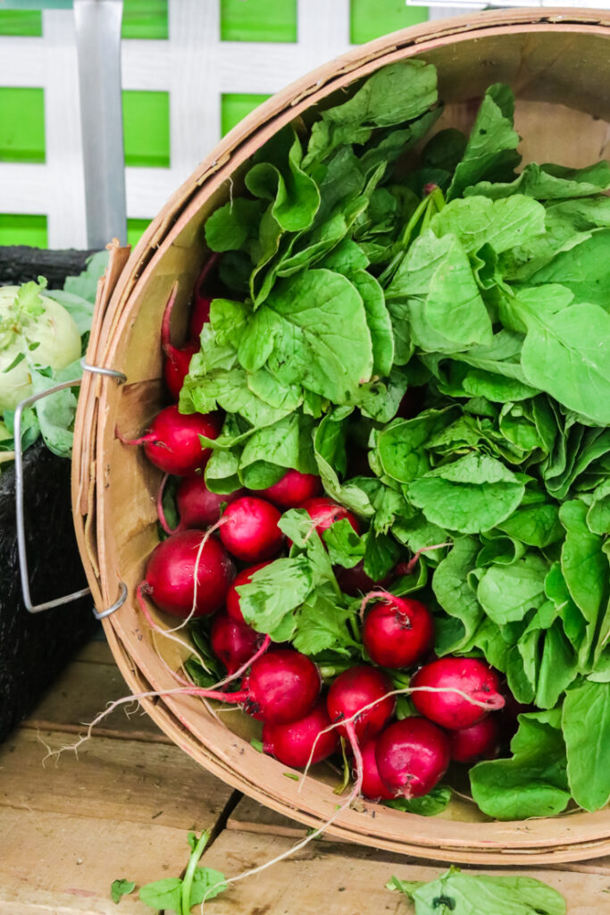 bright red radishes at a farmstand