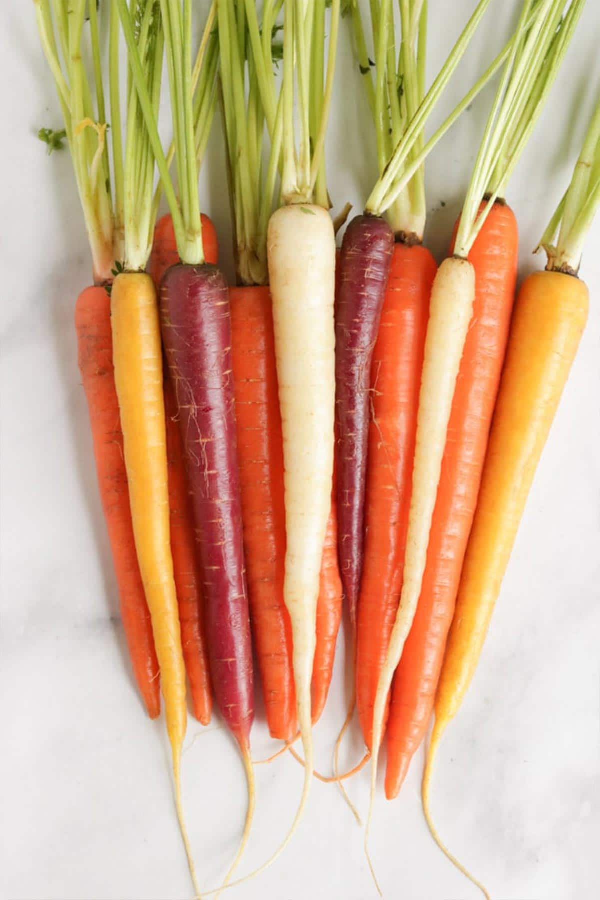 Whole Roasted Rainbow Carrots- A bunch of raw rainbow carrots on a marble backdrop.