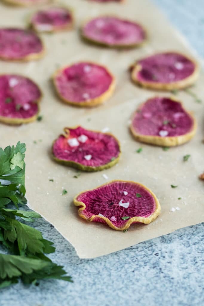 Roasted watermelon radish chips fresh out of the oven on unbleached parchment paper