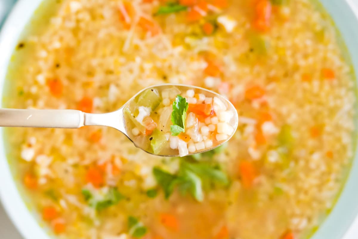 THE BEST Chicken Pastina Soup Fresh Coast Eats