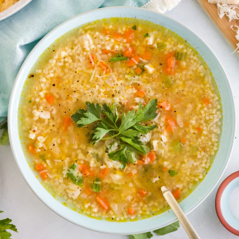 THE BEST Chicken Pastina Soup - Fresh Coast Eats