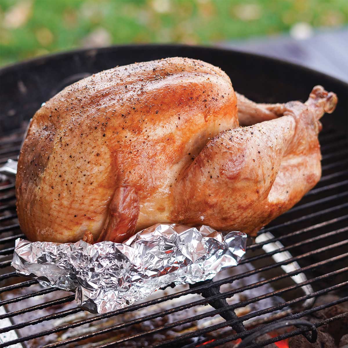 https://freshcoasteats.com/wp-content/uploads/2022/03/whole-turkey-on-the-grill-recipe.jpg