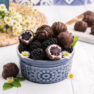 Chocolate covered blackberries in a blue bowl on the table with some cut in half and little white flowers for garnish.