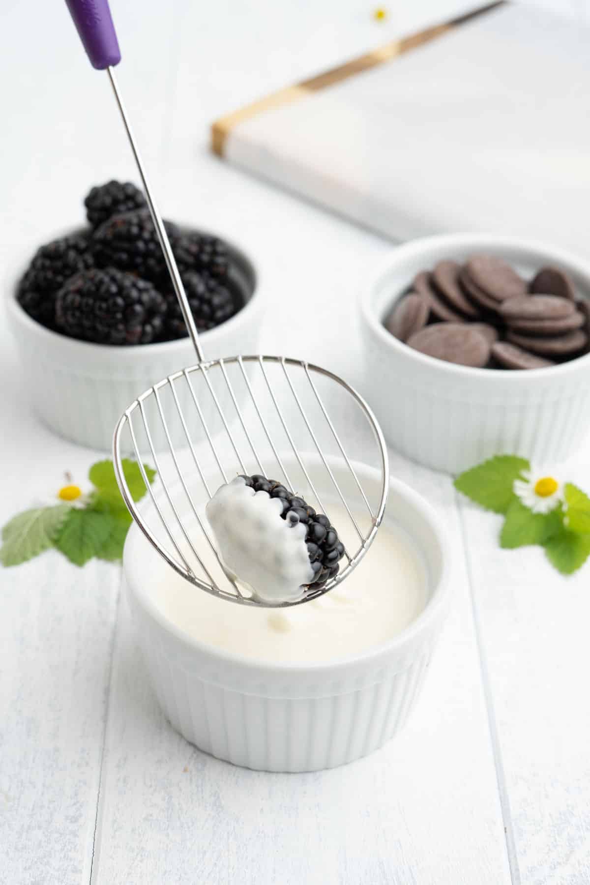 Dipping a blackberry into melted white chocolate.