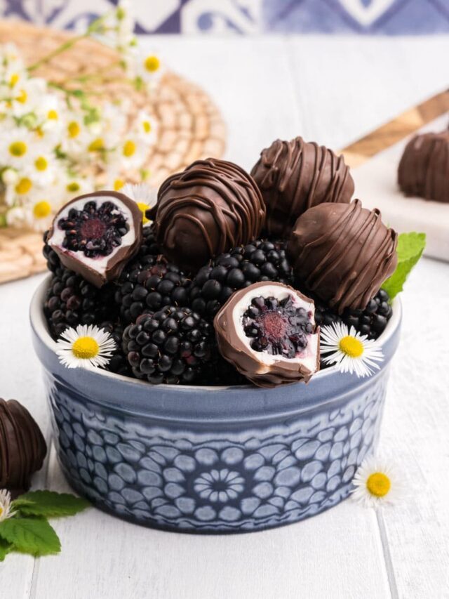Chocolate Covered Blackberries