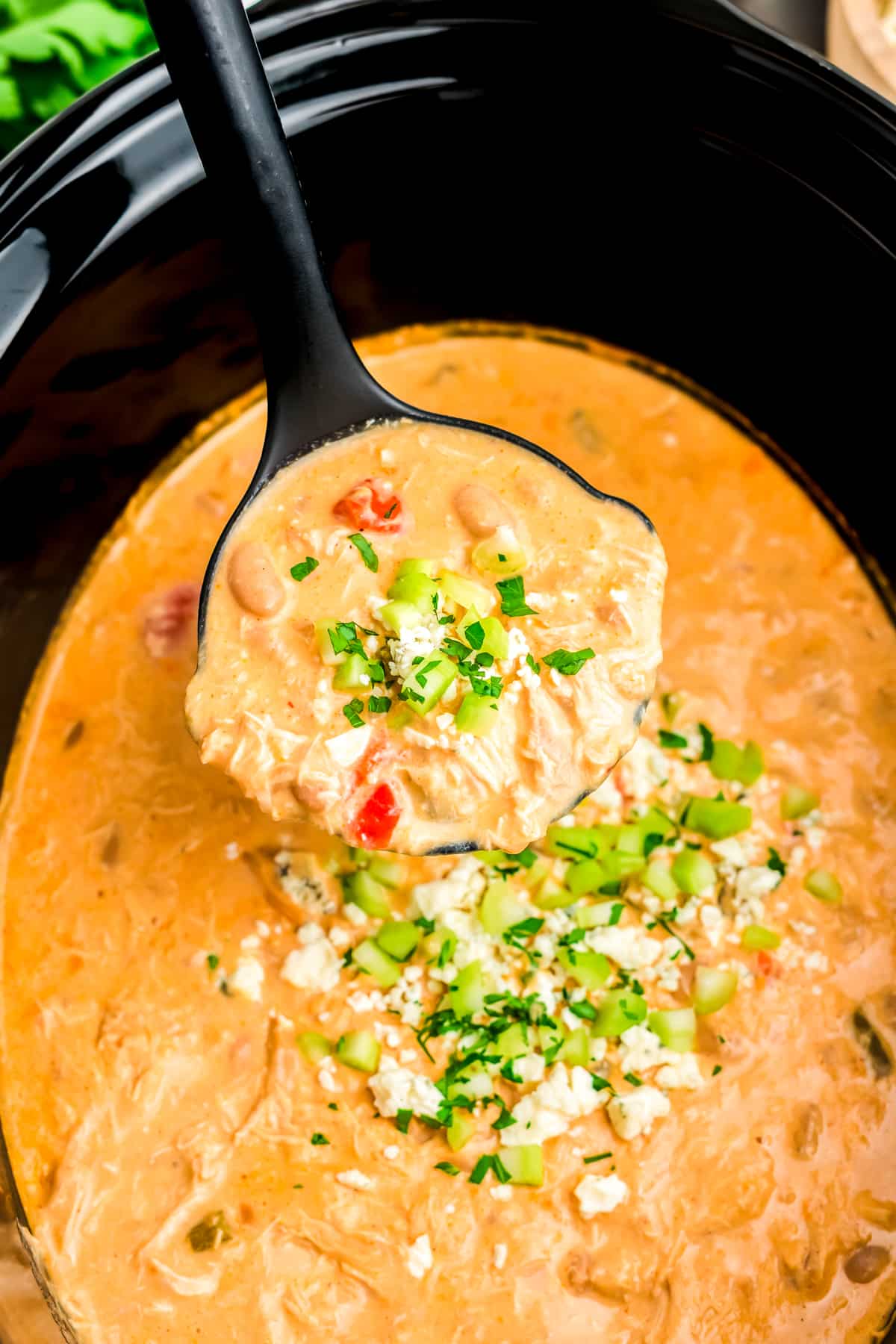 A ladle taking a scoop of buffalo chicken chil out of a slow cooker.