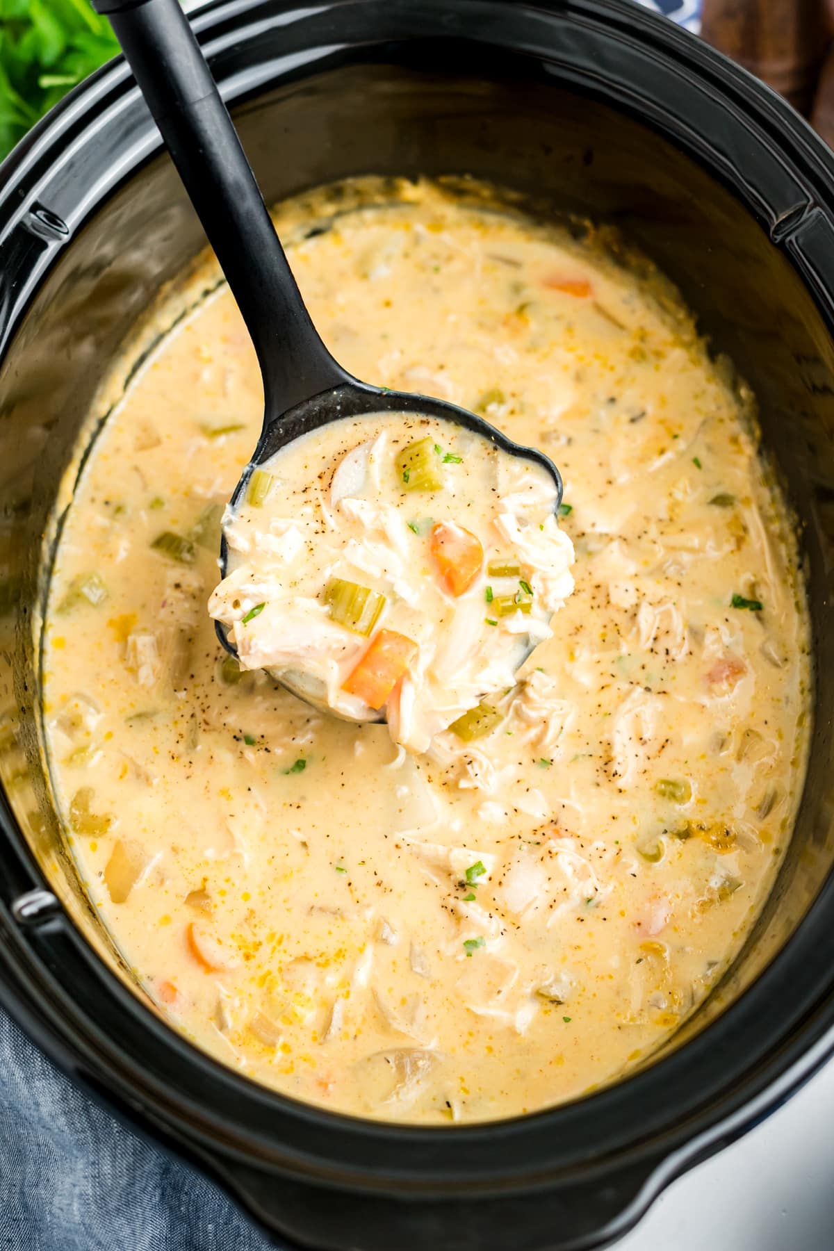 A ladle lifting up a serving of creamy chicken stew. 