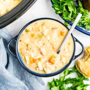 A bowl of creamy chicken stew in a bowl with a spoon.