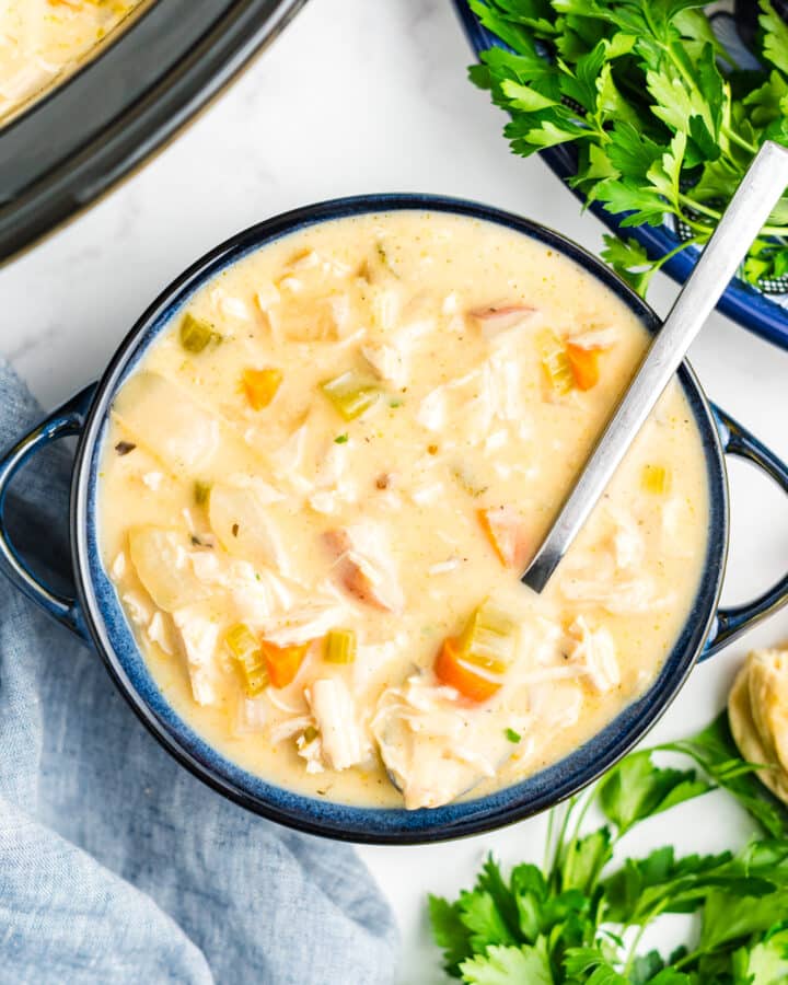 A bowl of creamy chicken stew in a bowl with a spoon.
